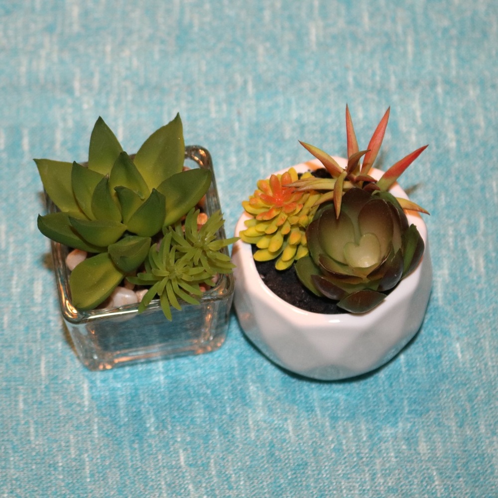 Two CUTE fake succulents!